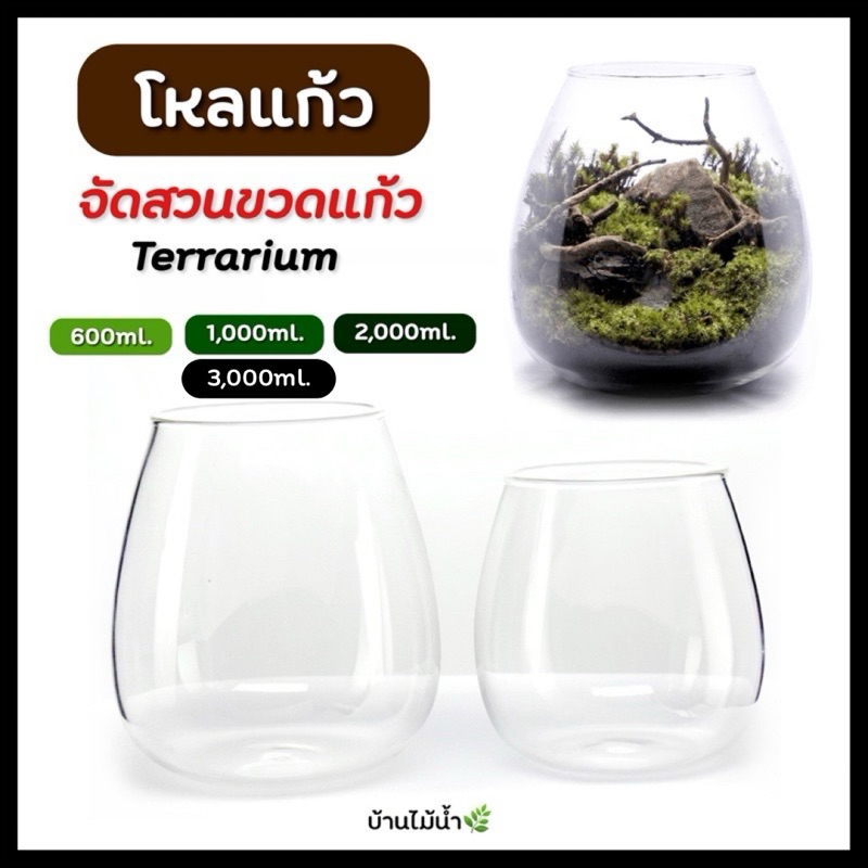 Terrarium โหลหยดน้ำ โหลแก้ว โหลสวนขวด โหลจัดสวนขวด โหลเทอร์ราเรียม โหลไม้ชื้น เทอร์ราเรียม | บ้านไม้น้ำ