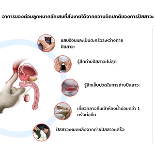 PROTOLITE ผลิตภํณฑ์เสริมอาหารต่อมลูกหมาก 1 กล่อง 20 แคปซูล