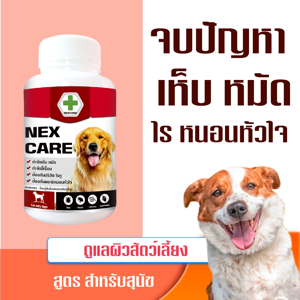 ซื้อ NEXCARE เสริมอาหารสัตว์เลี้ยง เสริมภูมิ ดูแลผิวสุนัข เห็บ-หมัด สำหรับสุนัข