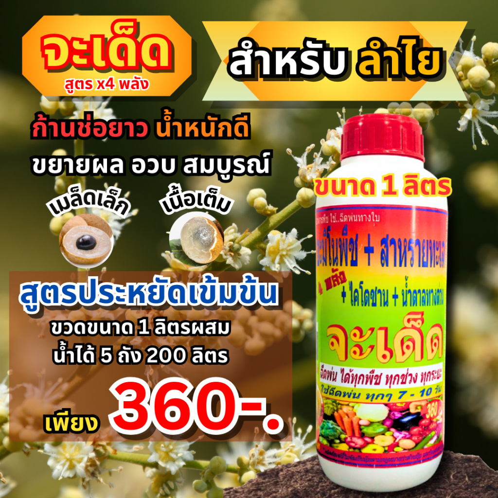 จะเด็ด 1 ลิตร “สูตร X4 พลัง” ฉีดพ่นทางใบ สำหรับ “ลำไย” ลดการใช้ปุ๋ยเคมี พืชสมบูรณ์ ก้านช่อยาว ผลอวบ น้ำหนักดี