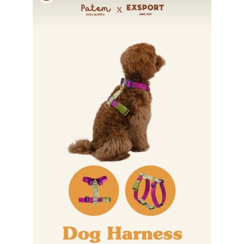 DOG HARNESS สายรัดอกสุนัข