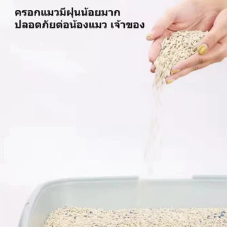 8L💥MZ ทรายแมวเต้าหู้ ออร์แกนิค100% ผลิตจากกากถั่วเหลืองธรรมชาติ ทรายแมว Cat Litter ทรายแมวเต้าหู้ ทรายเต้าหู้