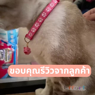 ปลอกคอหัวเข็มขัด Animal Collar (รอยเท้า)