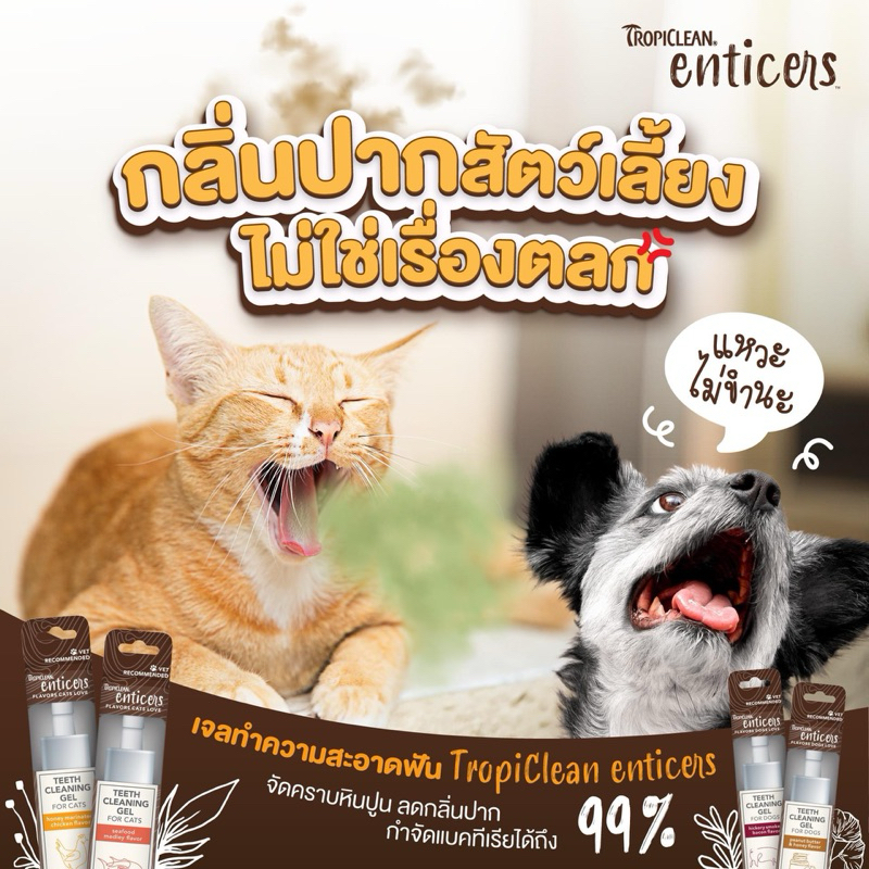 Tropiclean Enticers flavors เจลทำความสะอาดฟันสำหรับสุนัข แมว