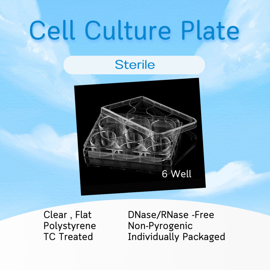 Clearance 6 well Cell culture plate ถาด 6 หลุมไมโครเพลท