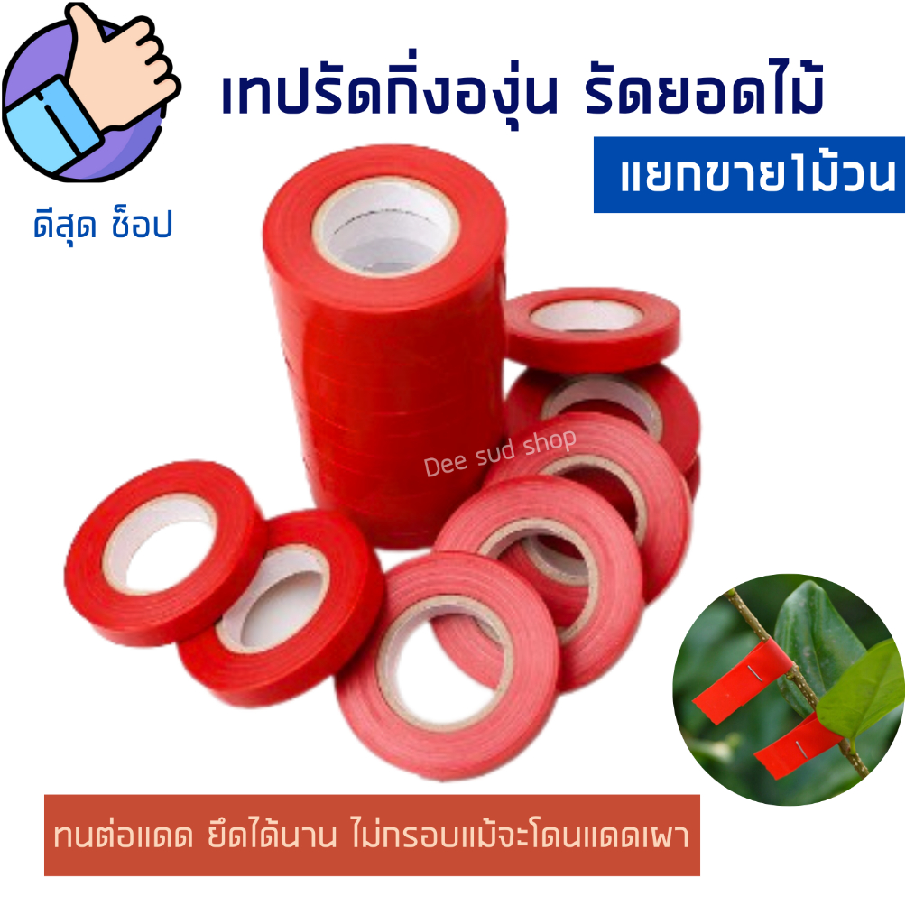 เทปพันกิ่งไม้ ยาว30เมตร กว้าง1cm  เทปรัดกิ่ง สําหรับพืชไม้เลื่อย องุ่น พืชสวน ทนแดด เหนียวใช้งานดี