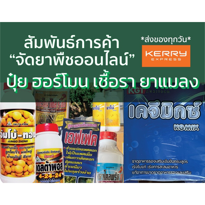 เอฟเฟค ฮอร์โมนผสมเทียม ดอกลำไย ทุเรียน มะละกอ ช่วยผสมเกสร ขั้วเหนียว บำรุงดอก - รูปที่ 6