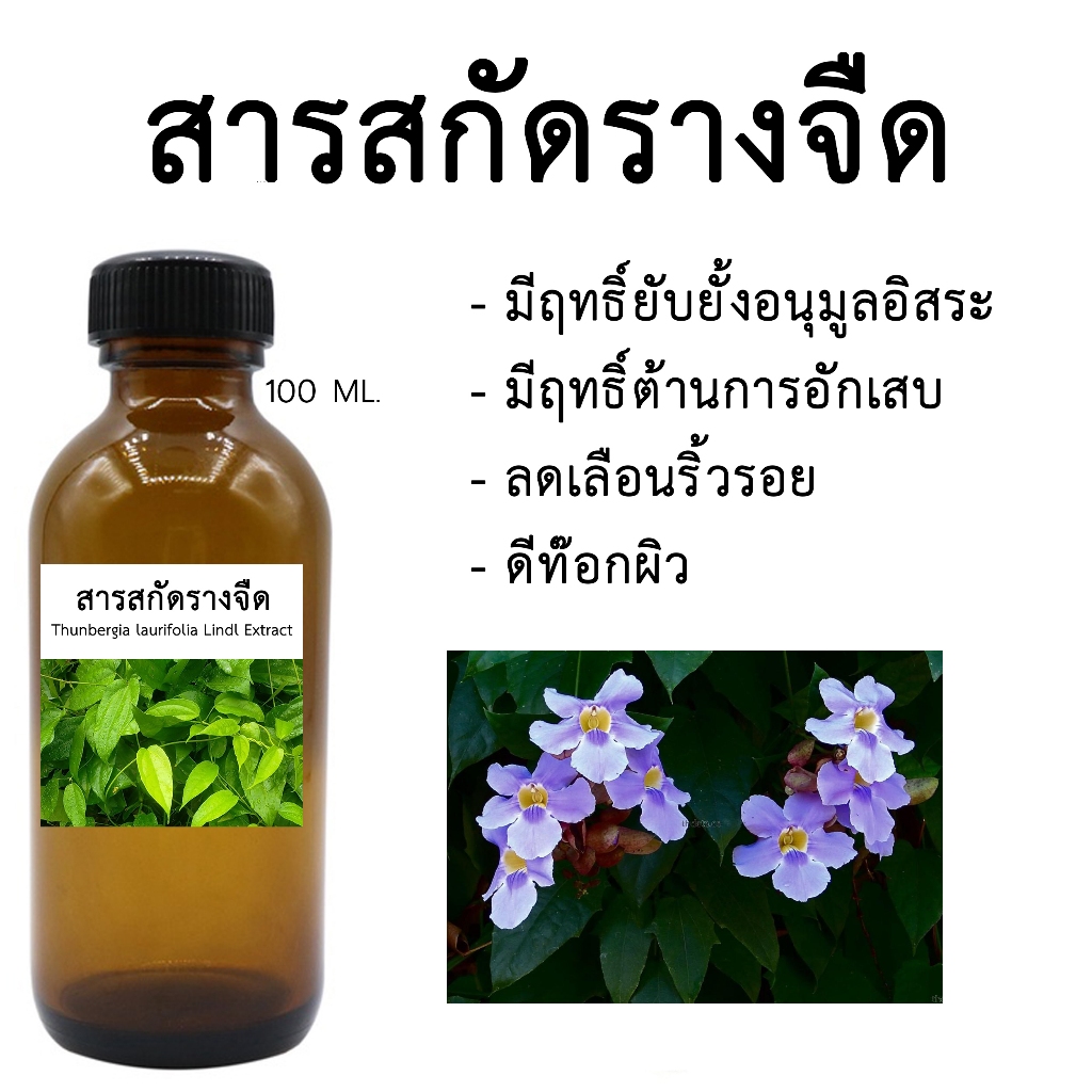สารสกัดรางจืด 100 ML I สารสกัดสมุนไพร สำหรับใช้ในเครื่องสำอาง