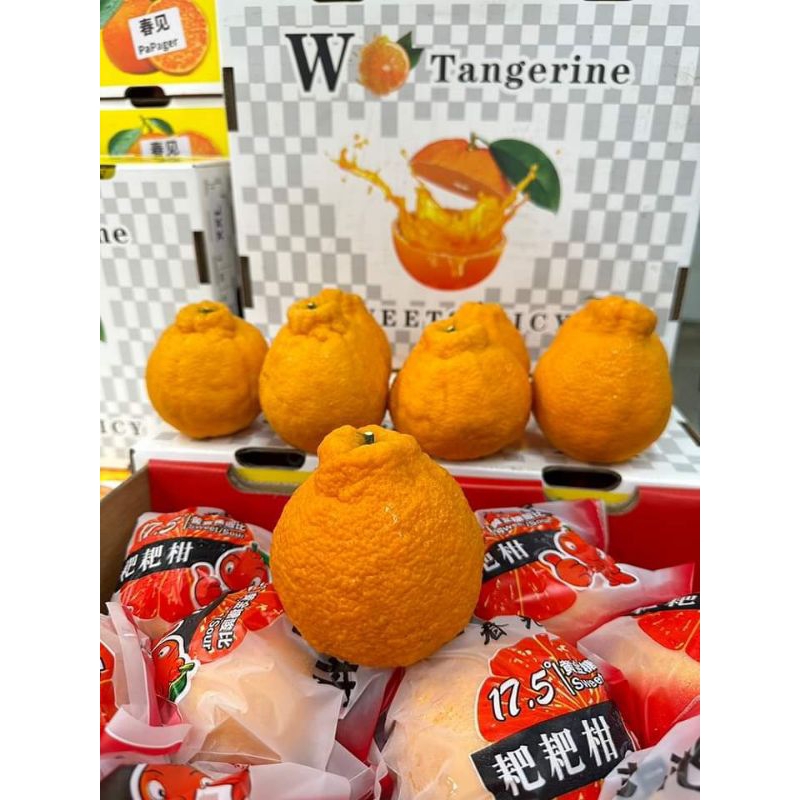 (1ลัง)🍊ส้มเดโกปอง🍊 ส้มโบราณ (1 ลัง 3 - 3.5 kg.)🎉🎉รสชาติเข้มข้น หอม อร่อย ทางร้านจัดส่งตามยี่ห้อเข้าใหม่ ลองเลย
