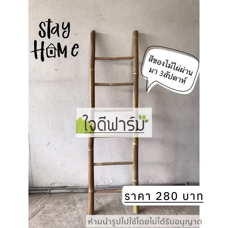 บันไดไม้ไผ่ ,ค้างไม้เลื้อย ,บันไดพาดผ้า(ห้ามปีน) ขนาด 120x32ซม.✅✅
