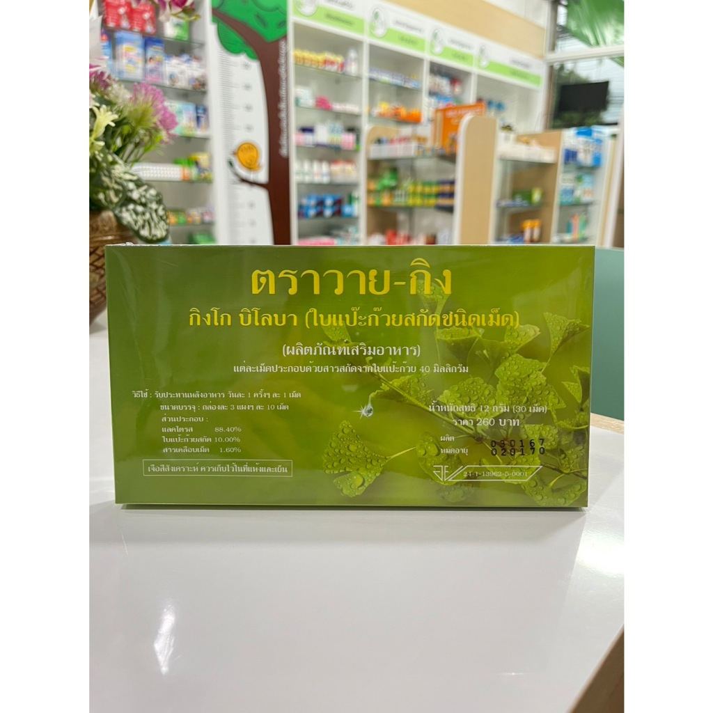 Y-Gink Ginkgo Biloba Extract ใบแป๊ะก๊วยสกัด วายกิง วาย-กิง จำนวน 30 แคปซูล