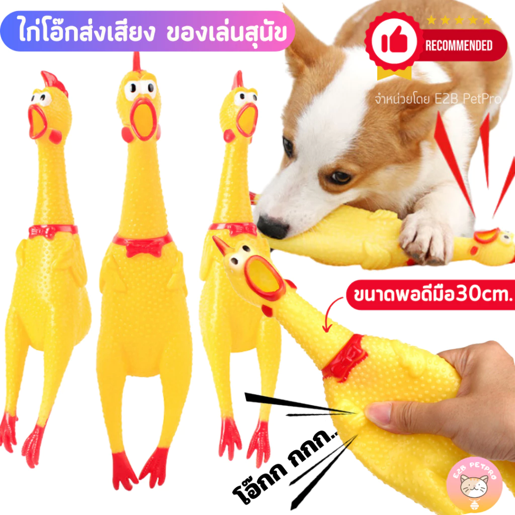 TUBI ของเล่นสัตว์เลี้ยง ไก่บีบมีเสียง thumbnail 3