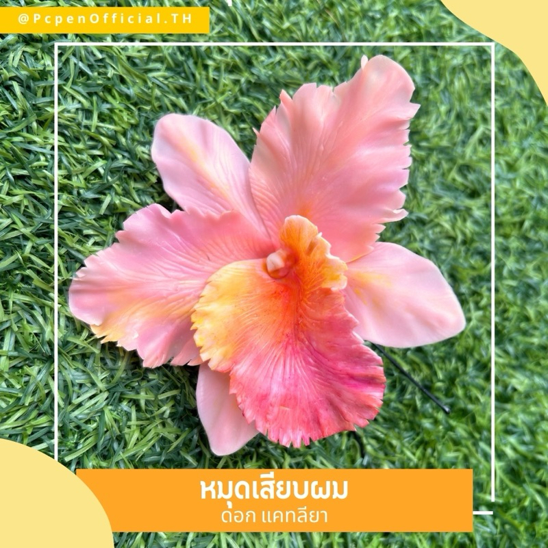 หมุดเสียบผม ดอกแคทลียา สายตาทุกคู่จงมองมา ใส่แล้วเป็นสาวงามที่สุด✨ ราคา ถูกที่สุด ดีลบีเคเค แกลเลอรีภาพที่ 2