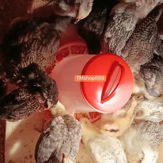 ถังให้อาหารไก่อัตโนมัติ ที่ให้อาหารไก่ ถ้วยให้อาหารไก่ ป้องกันไก่เขี่ย