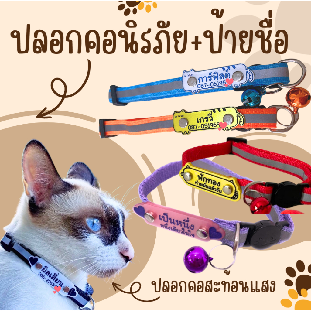 ปลอกคอ  สำหรับน้องแมว แบบนิรภัย แบบพร้อมป้ายสลักชื่อ ฟรี