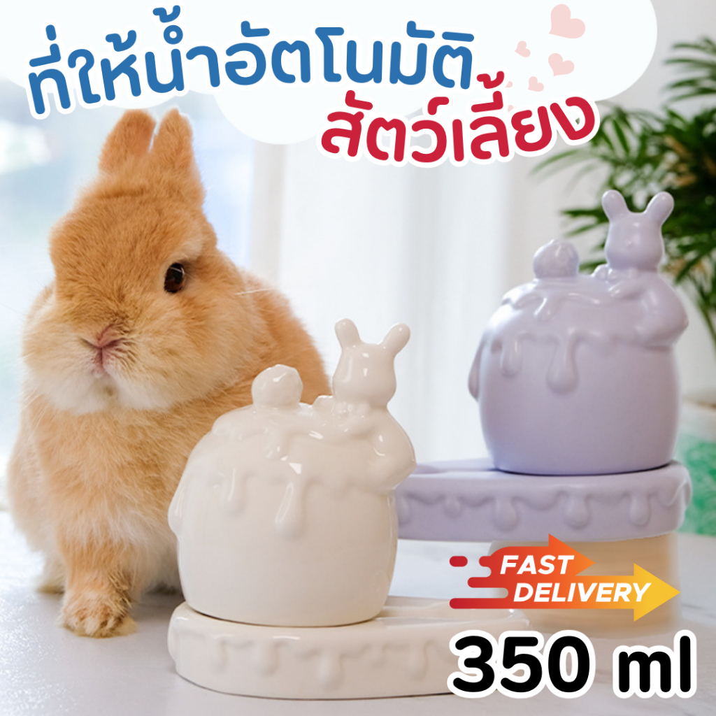 ส่งด่วน1-2 วัน ชามใส่น้ำกระต่าย เซรามิก ถ้วยใส่น้ำกระต่าย กระบอกใส่น้ำสัตว์เลี้ยง ขวดน้ำกระต่าย แมว สุนัข