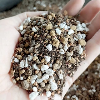 ดินปลูกแคคตัส Cactus Soil 500g. ไม้ประดับ กุหลาบ ไม้อวบน้ำ ต้นกระบองเพชร สูตรพรีเมี่ยม ส่วนผสมจัดเต็ม