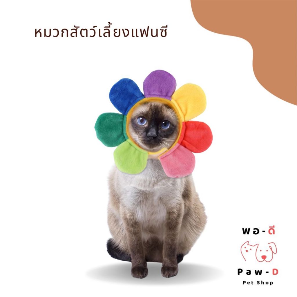 PAW-D หมวกแฟนซีสำหรับสัตว์เลี้ยง: คอลเลคชั่นสดใส Fancy Pet Hats: Vibrant Collection