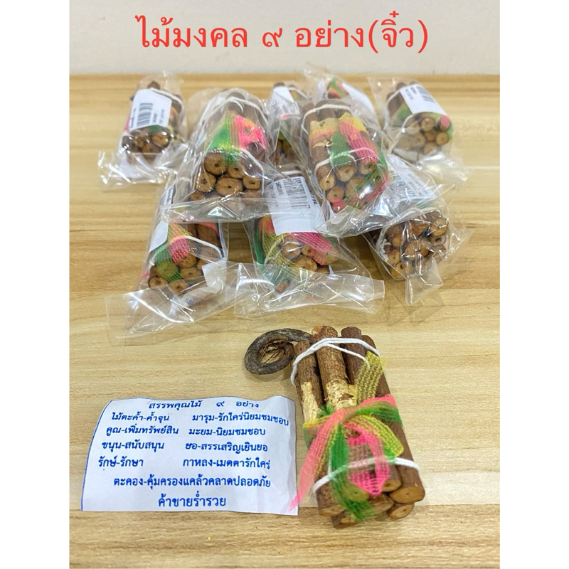 ไม้มงคล 9 อย่าง(ขนาดจิ๋ว)เพิ่มโชคลาภ เสริมดวง เสริมฮวงจุ้ย