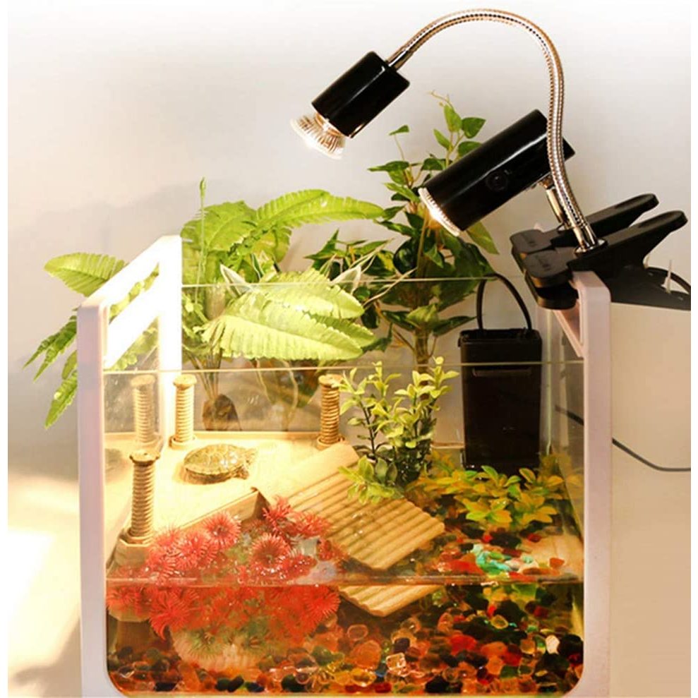 รูปภาพ 9