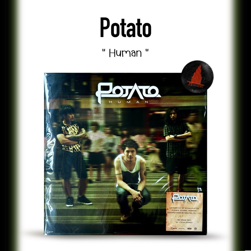 แผ่นเสียง Potato Human