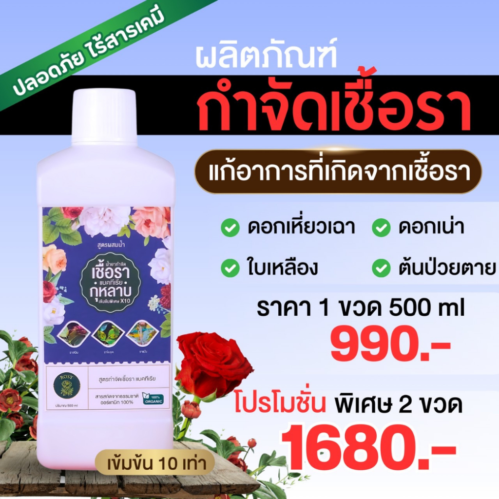 กำจัด เชื้อรา ทุกชนิด สูตรเข้มข้น 10 เท่า ผสมน้ำได้เยอะ ใช้ได้กับกุหลาบหรือพืชทุกชนิด