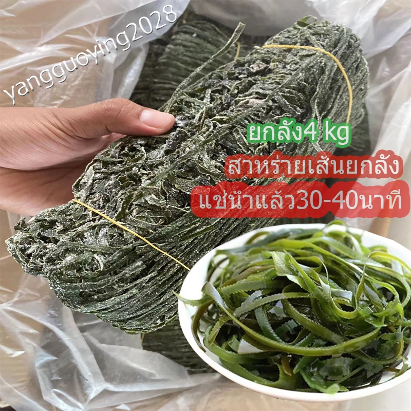 สาหร่ายแห้ง (ยกลัง) แบบเส้น  สาหร่ายทะเลอุดมไปด้วยวิตามินและแร่ธาตุ เมนูยำสาหร่ายอร่อยเคี้ยวเพลิน ยกลง4kg 海带丝/ 箱