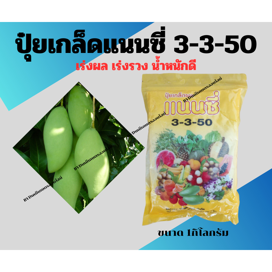 ปุ๋ยเกล็ดแนนซี่ สูตร 3-3-50 ขนาด1กิโล ปุ๋ยเกล็ดทางใบฉีดพ่นเพื่อขยายผล เพิ่มน้ำหนัก เพิ่มแป้ง เพิ่มน้ำหนักรวง ลงหัวดี