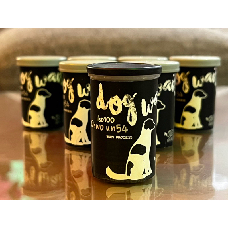 ฟิลม์ขาวดำ dog wait Orwo un54 By รอนานคัลเลอร์แล๊ป