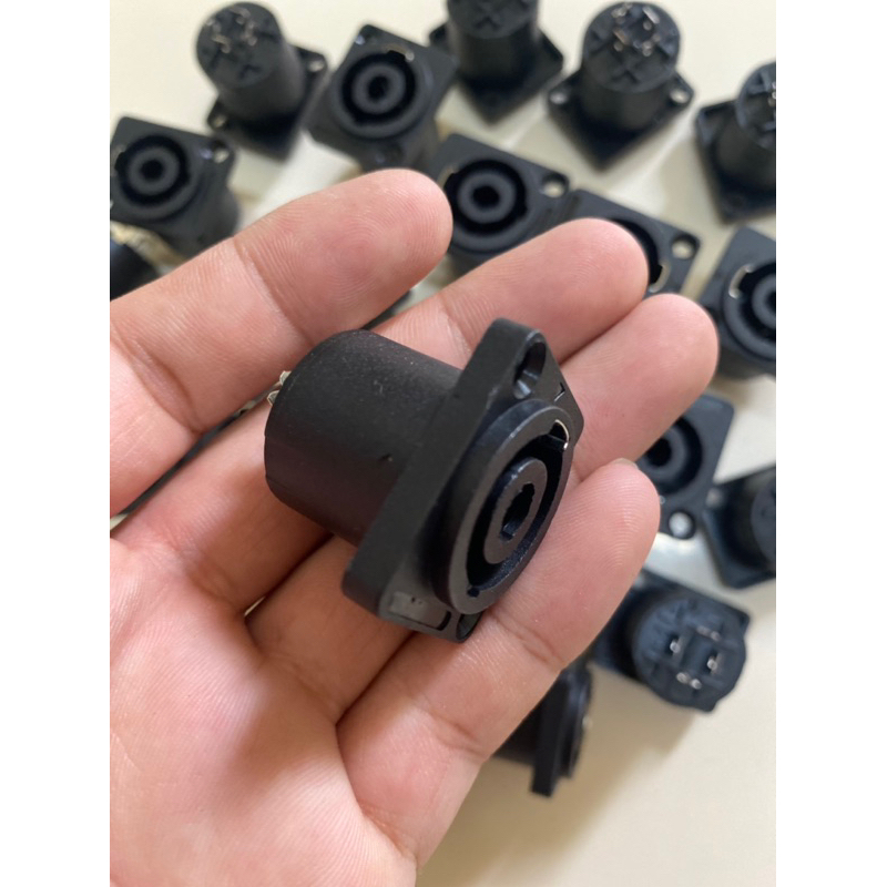 สเปคคอนเหลี่ยมตัวเมีย