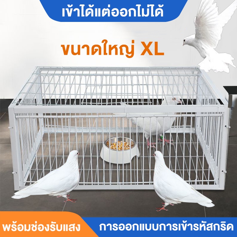ขนาดใหญ่เพนียดดักนก กรงดักนก กรงกับดักนกพิราบ กรกดักนกเขา กรงนกพิราบ ที่ดักนก กรงต่อนก กรงนกทางเดียว