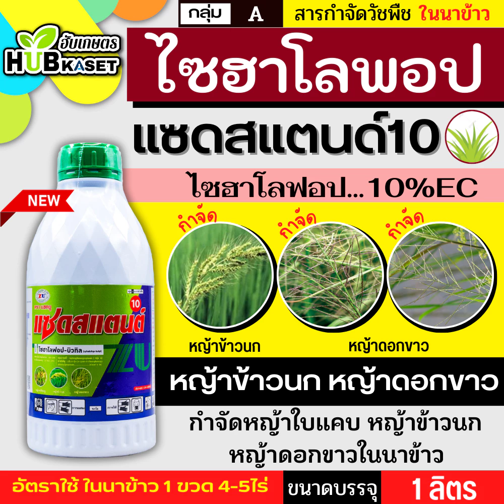 แซดสแตนด์10 1ลิตร (ไซฮาโลฟอบ-บิวทิล) กำจัดวัชพืชประเภทใบแคบ เช่น หญ้าข้าวนก หญ้าแดง และหญ้าดอกขาว