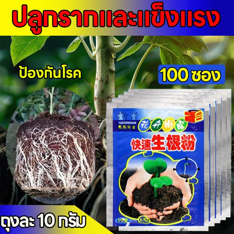 🌿100 ซอง🌿รากจะงอกใน 3 วัน ผงเร่งรากพืช ปุ๋ยผงอินทรีย์ชีวภาพ เร่งการเจริญเติมโตของรากพืช เร่งรากใน3วัน