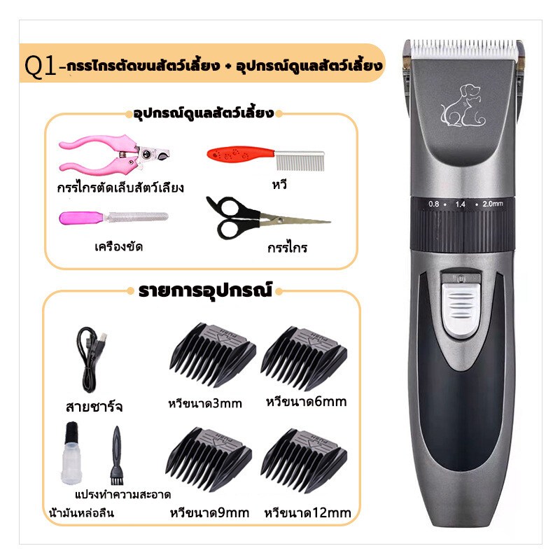 รูปภาพ 3