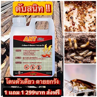 กำจัดมด🐜ปลวก แมลงสาป ตายยกรัง⚡️1ลิตรแถม1ลิตร
