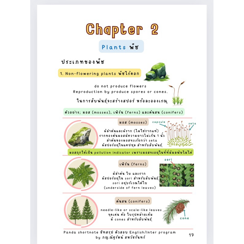 ชีทสรุป science G.4 P.4 วิทยาศาสตร์ ป.4 English/Inter program Book1