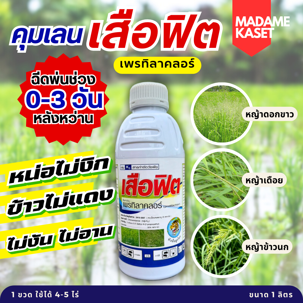 คุมเลน-คุมเปียก เสือฟิต (เพรทิลาคลอร์) คุมเลนในนาข้าว 0-3 วัน ข้าวไม่แดง ไม่งัน หน่อไม่หงิก 1 ลิตร
