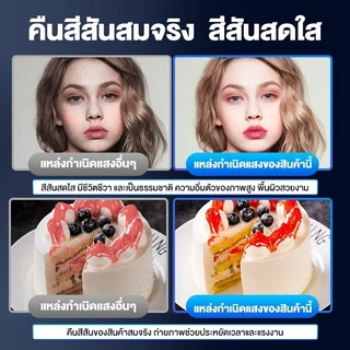 ไฟสตูดิโอ ไฟไลฟ์สด LED ชนิด 1 ขั้วไฟ พร้อมขาตั้ง ไฟถ่ายรูป ชุดไฟสตูดิโอ สตูดิโอถ่ายภาพ ไฟต่อเนื่อง