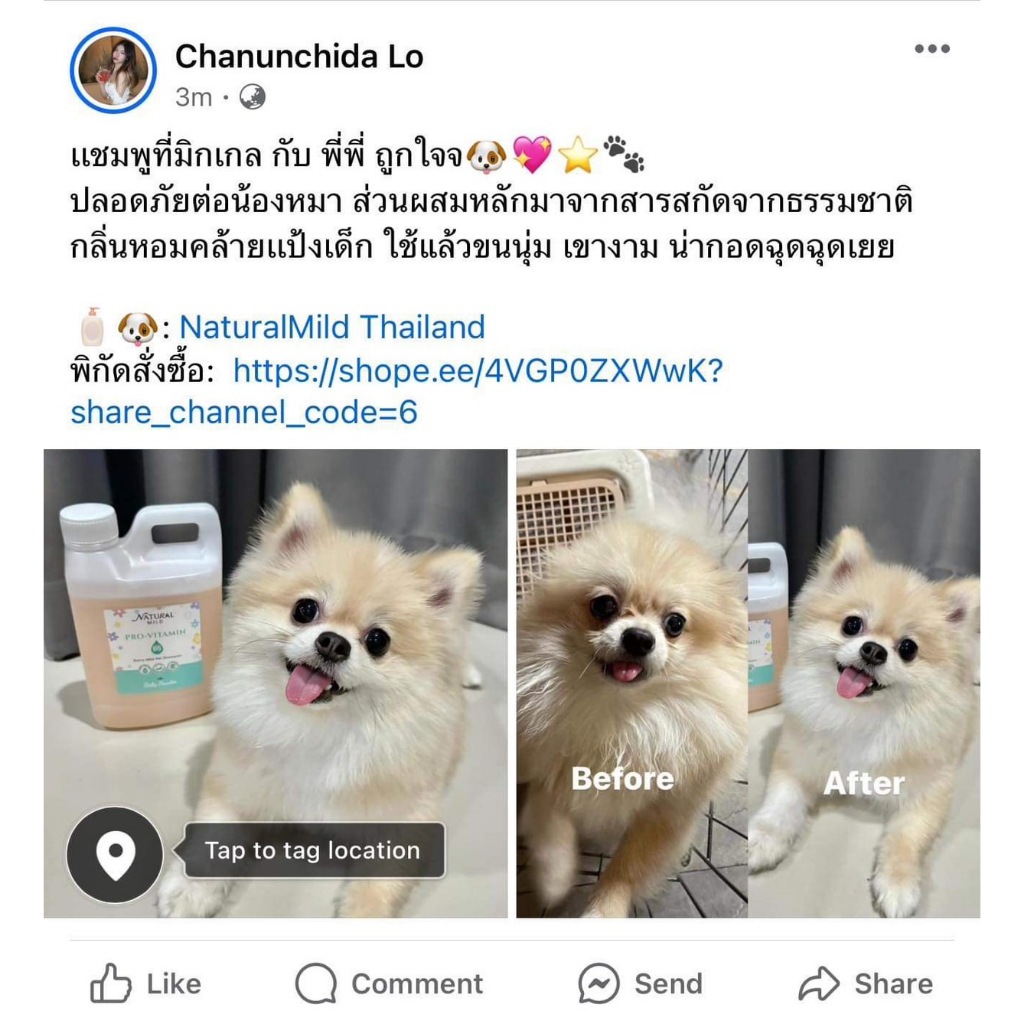 แชมพูหมาแมว สูตรอ่อนโยน ขนนุ่มหอมนาน PH เป็นกลาง ปลอดภัย ไม่มีพาราเบน กลิ่นแป้งเด็ก Bebelle 1000 มล รูปที่ 4