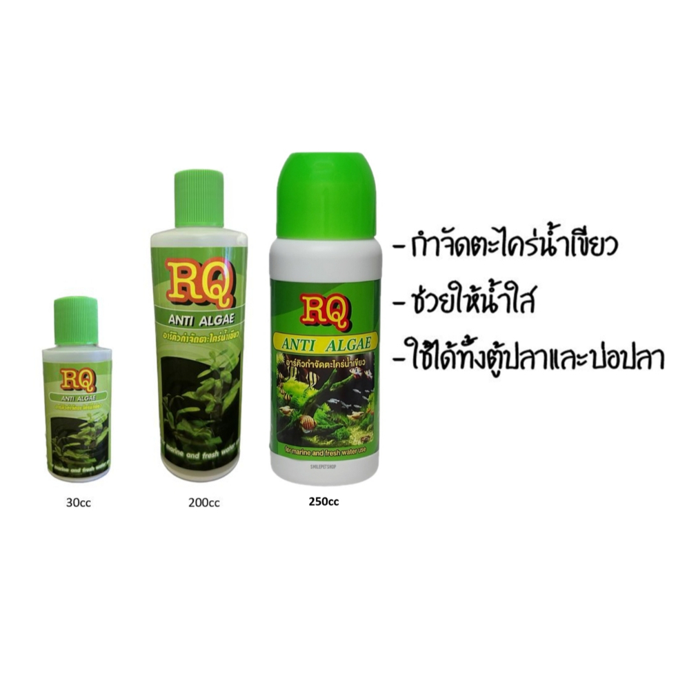 (จัดส่งเร็ว) RQ ANTI ALGAE (อาร์คิว กำจัดตะไคร่น้ำเขียว)