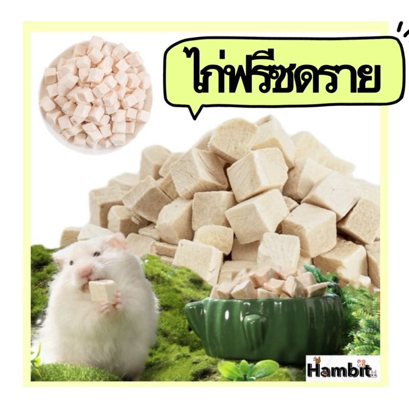 Hambit. ขนมฟรีซดรายแมว แฮมเตอร์ ชูการ์ไกรเดอร์ สุนัข เต่า ไม่เติมเกลือและสารปรุงแต่ง เนื้อสัตว์100% อกไก่
