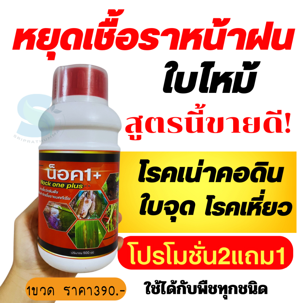 Nock one plus น็อค1+ป้องกันกำจัดเชื้อรา ขนาด 1 ลิตร จบปัญหาโรคพืช ใบไหม้ ใบเหลือง ใบจุด