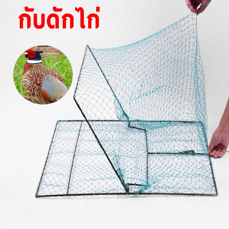 กับดักไก่แบบตาข่ายและกับดักนกทุกชนิดขนาดกว้าง มีขนาดให้เลือก 60 80 90cm หนักเบานกติดแล้วไม่หลุดใช้งานได้นานหลายปี