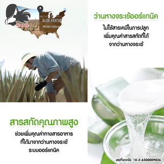 MISSNALA ESSENCE ALOE GEL เนื้อเจล บำรุงผิวและซ่อมแซมผิว จากปัญหาสิว สารสกัดจากว่านหางจระเข้ 99% 248966