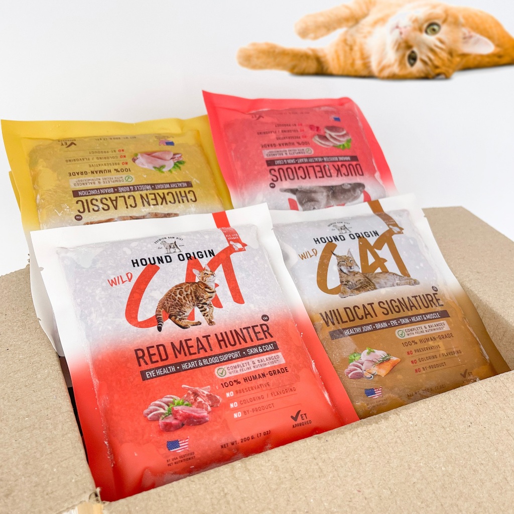 Hound Origin Cat BARF - Wildcat Essential Set (เซ็ตสุดคุ้มแมว) X 20 Packs