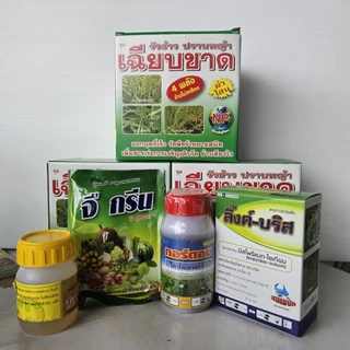 เฉียบขาด 4 พลัง รุ่นใหม่ล่าสุด (เพิ่มแมกนีเซียม) เสริมความแข็งแรงให้พืช เขียวไว ลำต้นตั้ง ฟื้นตัวไว รากแตกง่าย ทนต่อโรค
