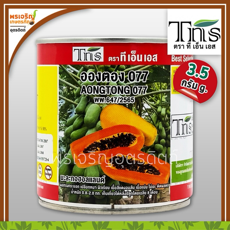 เมล็ดพันธุ์มะละกอ มะละกอฮอลแลนด์ อองตอง 007 (3.5 กรัม) เมล็ดมะละกอกระป๋อง เมล็ดพันธุ์ผักสวนครัว ตราทีเอ็นเอส TNS