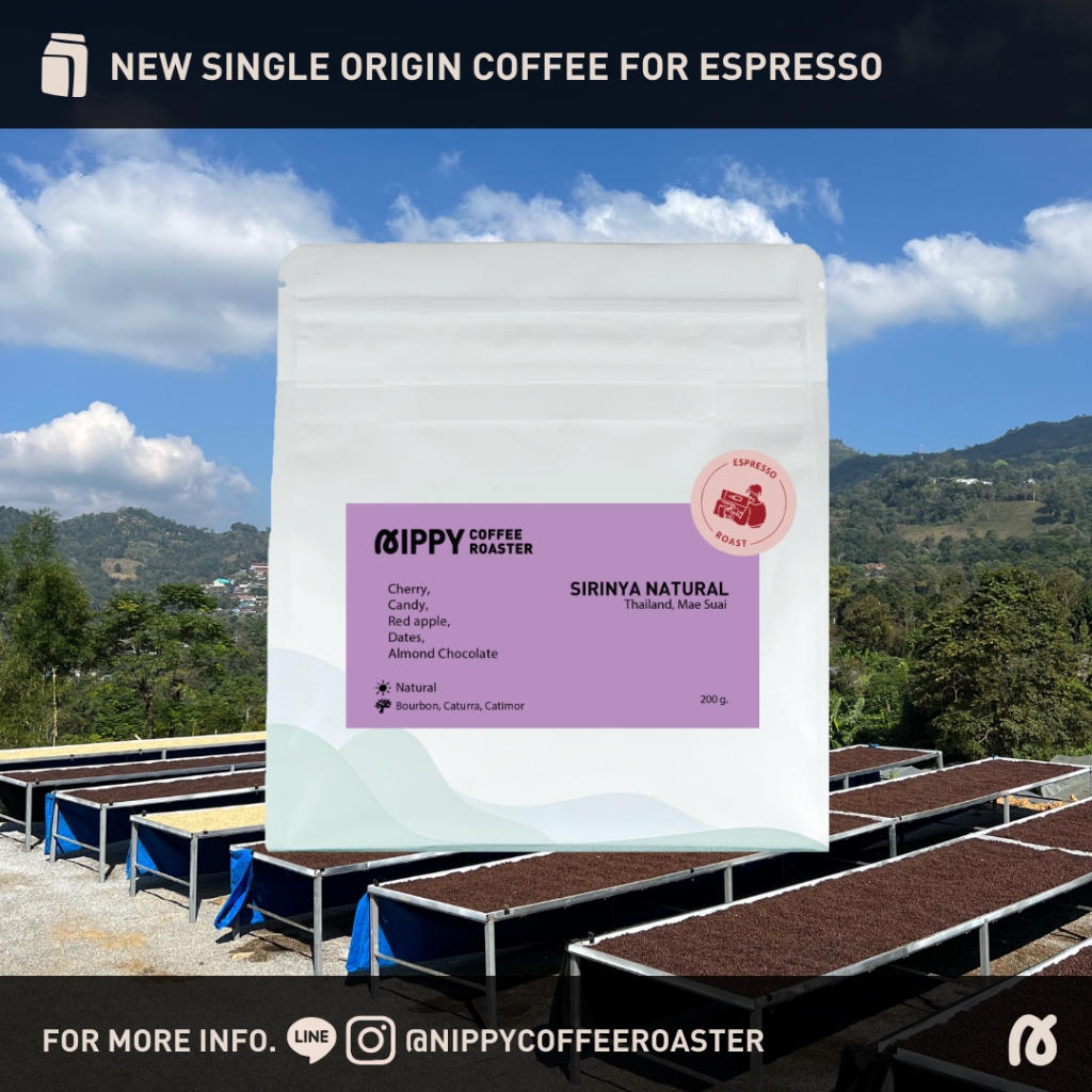 Nippy Coffee Roaster เมล็ดกาแฟคั่ว Sirinya Natural Thailand, Mae Suai Espresso Roast