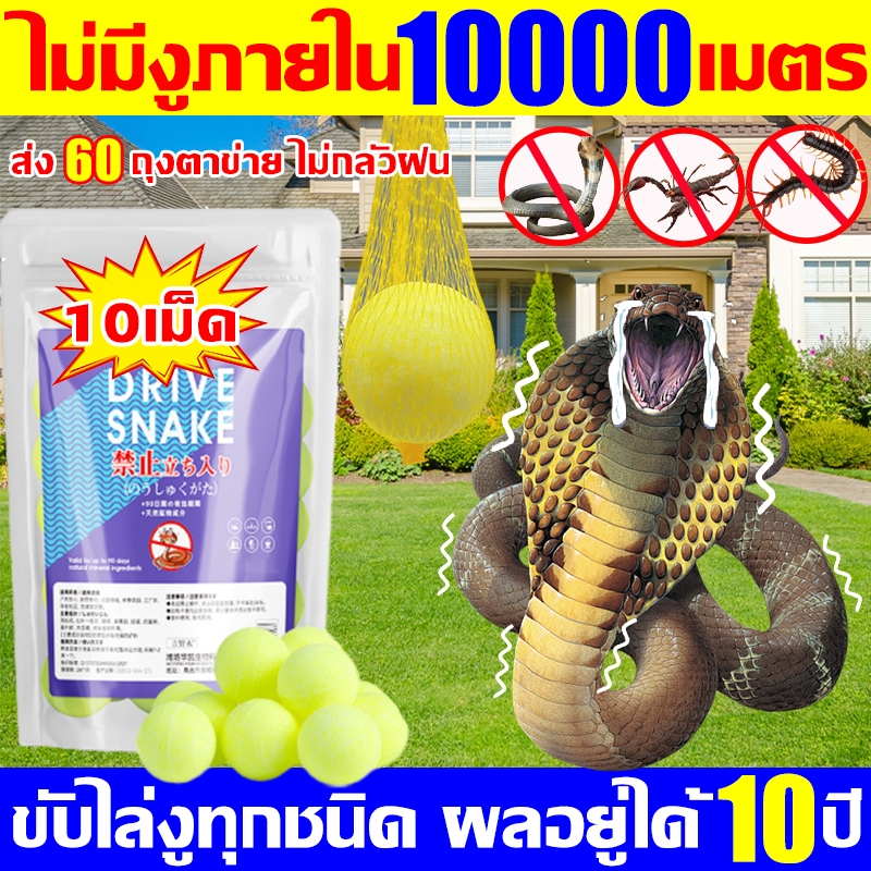 🐍ไม่มีงูภายใน 10000 เมตร🐍กำมะถันไล่งู 1 แพ็คมี10ผงไล่งู ยาป้องกันงู 1เม็ดใช้ได้1ปี ติดทนนานไม่กลัวฝน ก้อนไล่งู ยาไล่งู