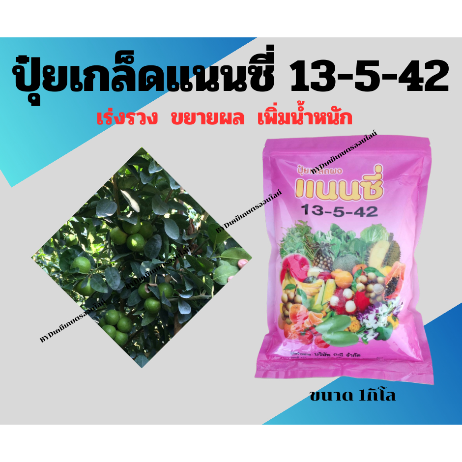 ปุ๋ยเกล็ดแนนซี่ สูตร 13-5-42 ขนาด1กิโล ปุ๋ยเกล็ดทางใบฉีดพ่นเพื่อกระตุ้นการออกรวง(ลมเบ่ง) เร่งรวง เร่งผล ขยายขนาดผล